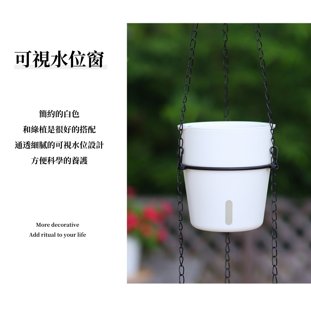 可視水位窗 簡約的白色 和綠植是很好的搭配 通透細膩的可視水位設計 方便科學的養護 