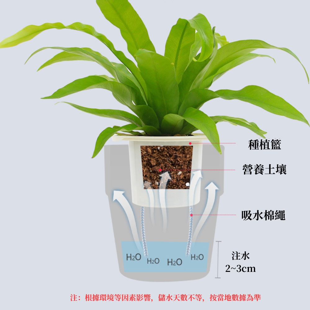 種植籃 營養土壤 吸水棉繩 注水 注根據環境等因素影響,儲水天數不等,按當地數據為準 