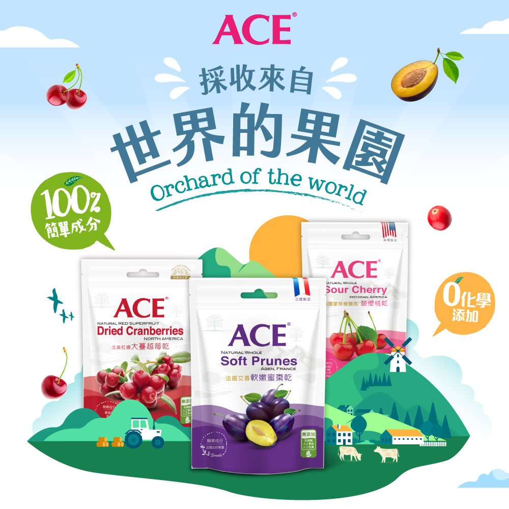 ACE 法國艾香軟嫩蜜棗乾180g(買一送一)好評推薦