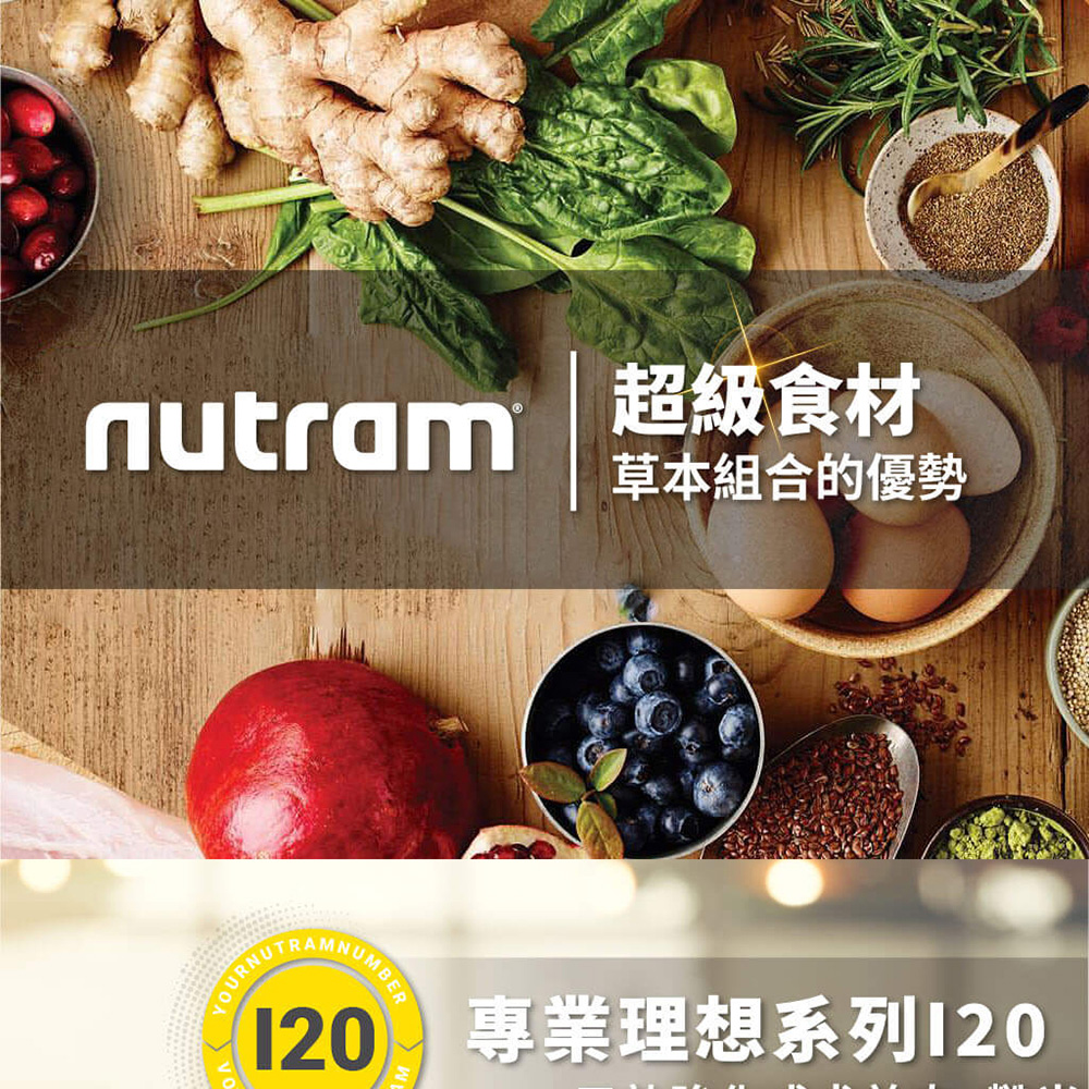 Nutram 紐頓 專業理想I20三效強化成犬2kg 羊肉+