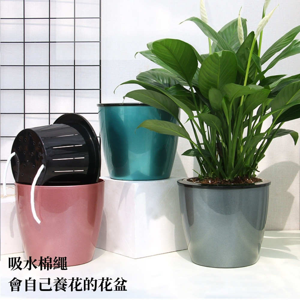 吸水棉繩 會自己養花的花盆 