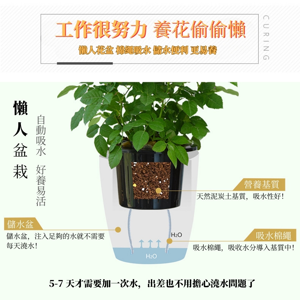 57 天才需要加一次水,出差也不用擔心澆水問題了