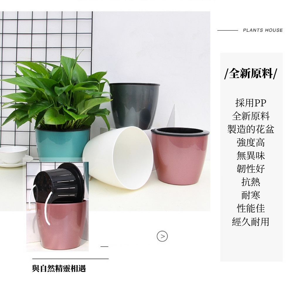 與自然精靈相遇