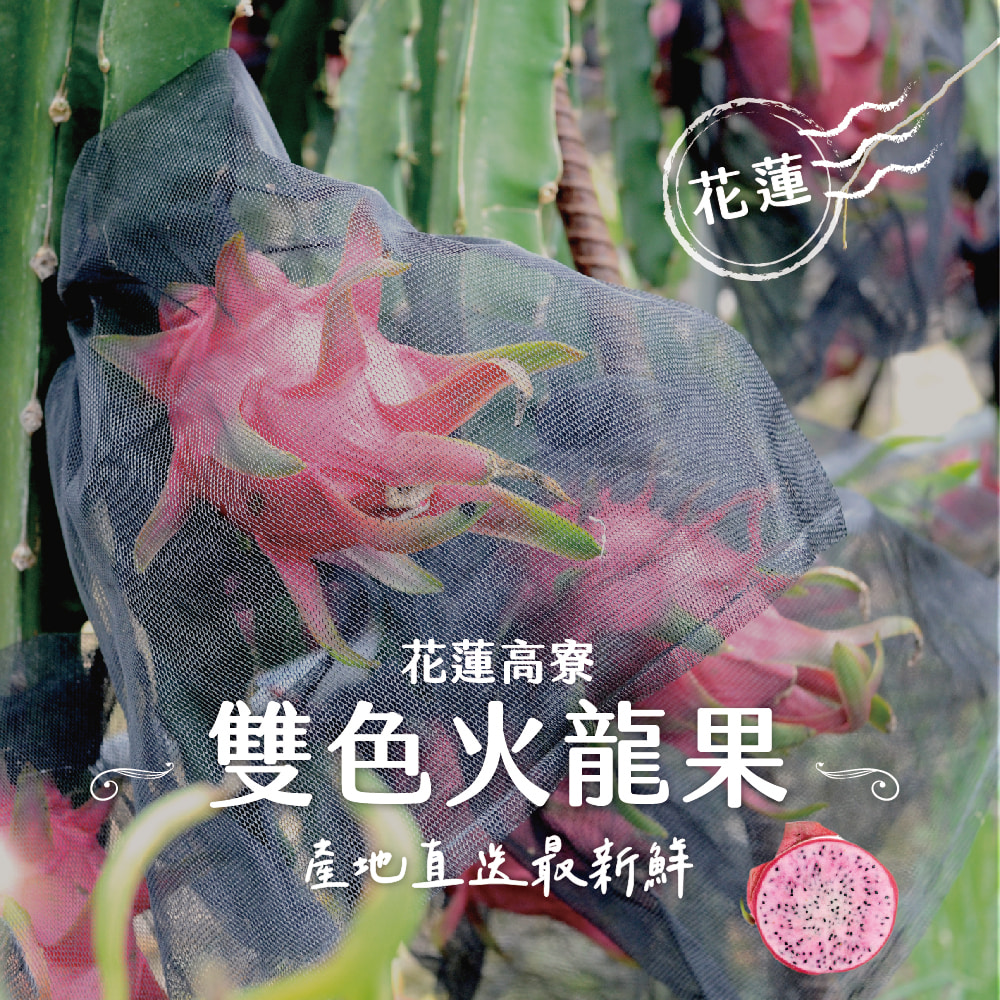 禾鴻 花蓮高寮雙色火龍果10斤x2箱(17粒裝/盒)評價推薦