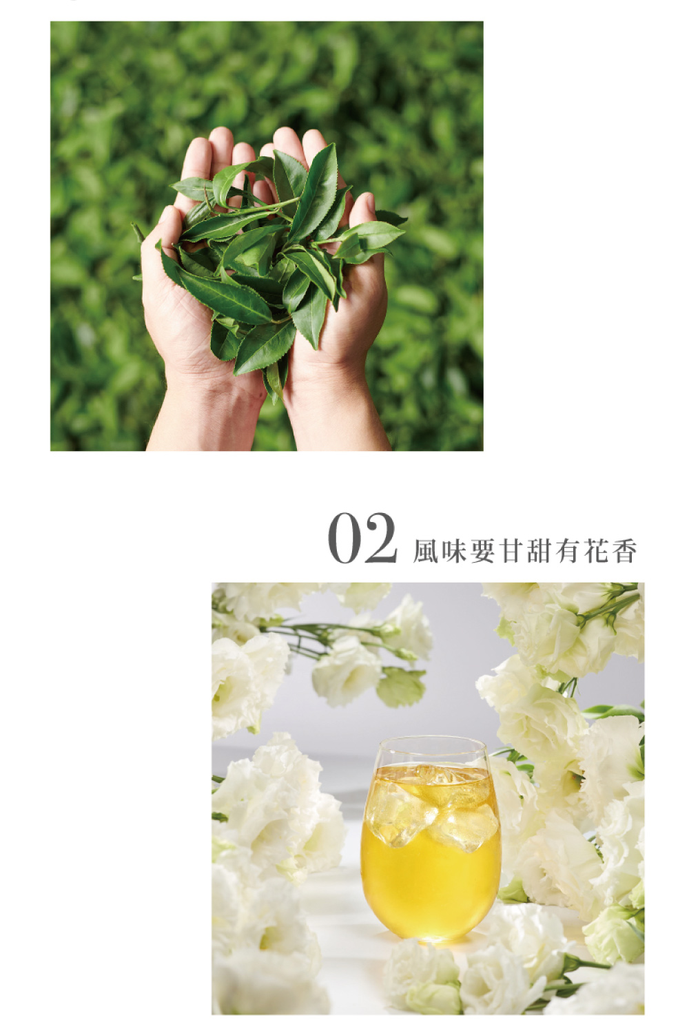 é¢¨å³è¦ççæè±é¦ 