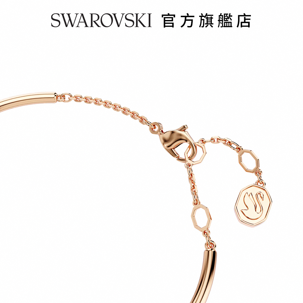 SWAROVSKI å®æ¹æè¦åº 