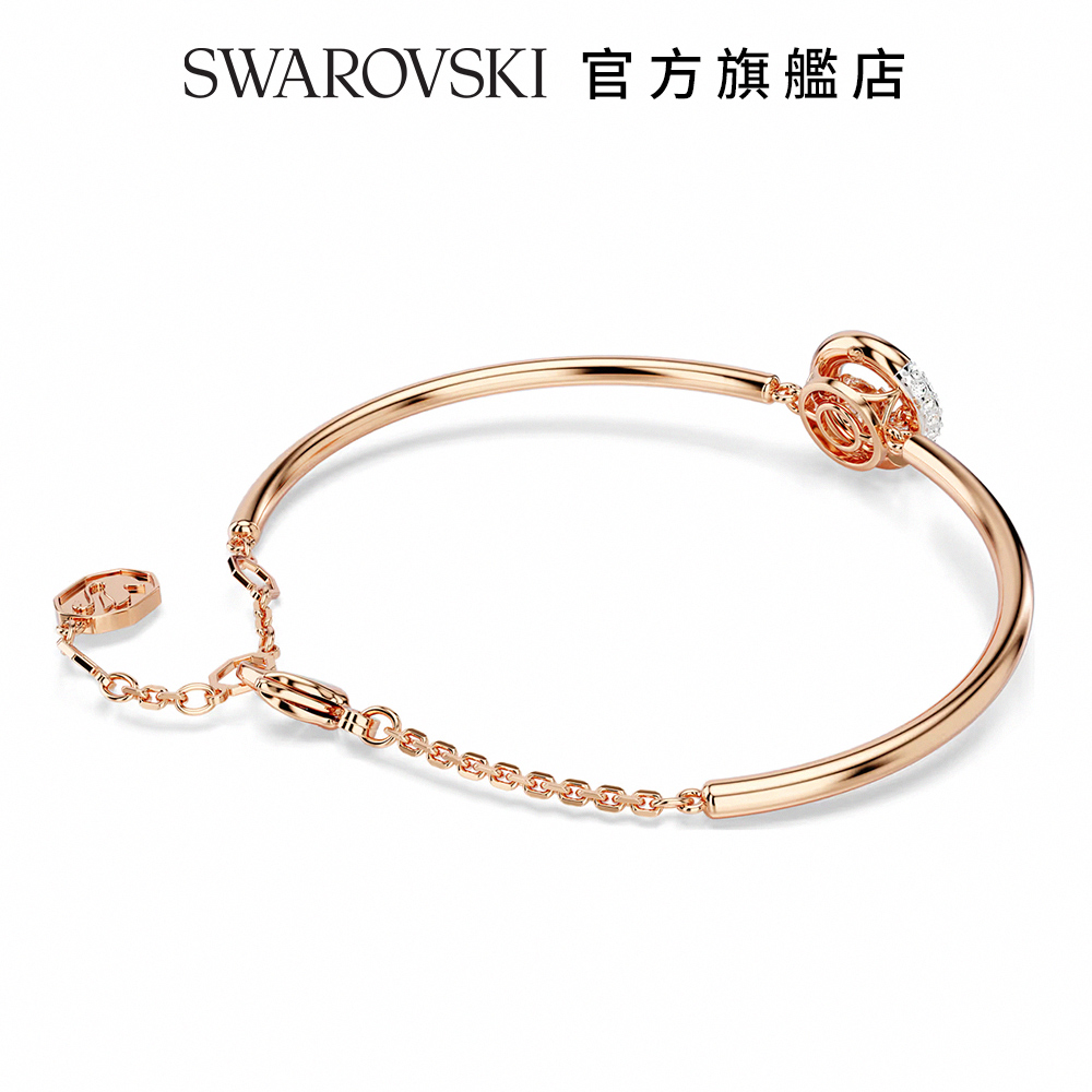 SWAROVSKI å®æ¹æè¦åº 