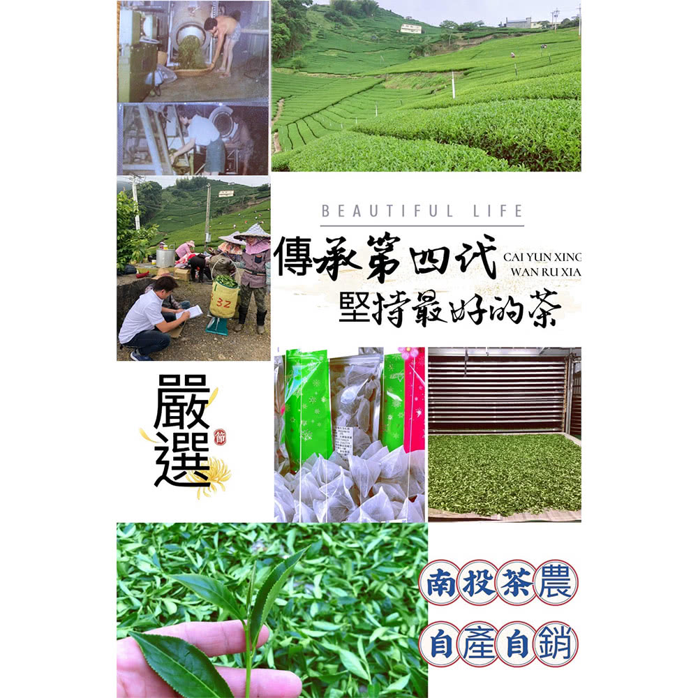 旺哥嚴選 台灣茗茶-茶農情-*4入評價推薦