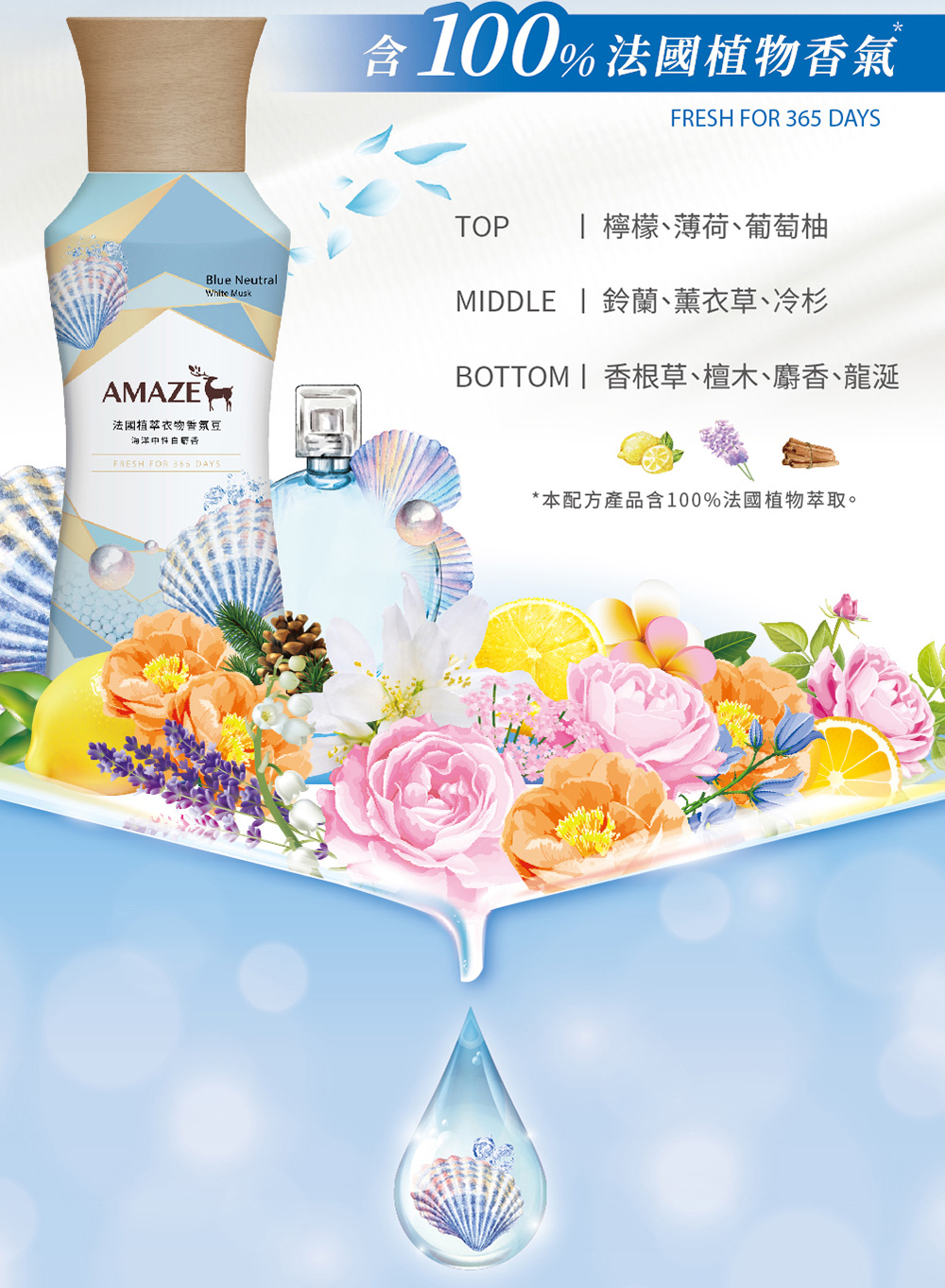 BOTTOM香根草、檀木、麝香、龍涎