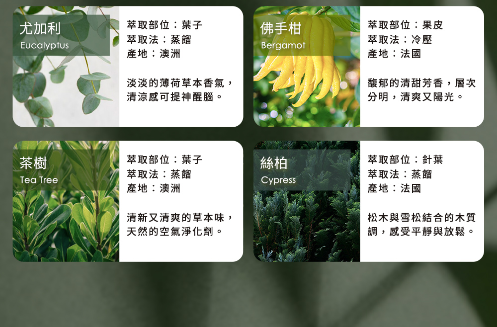 淡淡的薄荷草本香氣,