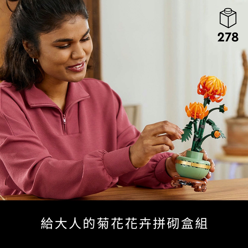çµ¦å¤§äººçèè±è±åæ¼ç ççµ 
