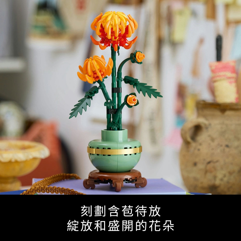 å»åå«èå¾æ¾ ç¶»æ¾åçéçè±æµ 