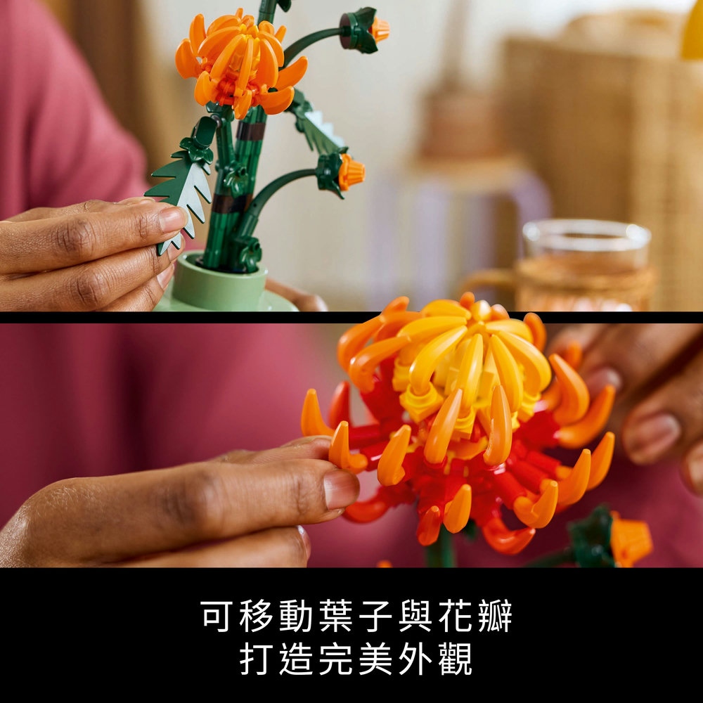å¯ç§»åèå­èè±ç£ æé å®ç¾å¤è§ 