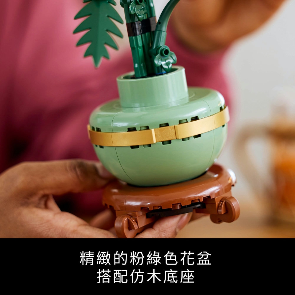 ç²¾ç·»çç²ç¶ è²è±ç æ­éä»¿æ¨åºåº§ 