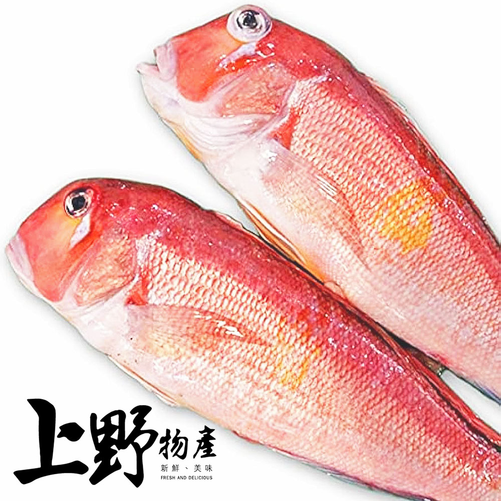 上野物產 5隻 馬頭魚(200-300g±10%/隻 海鮮/