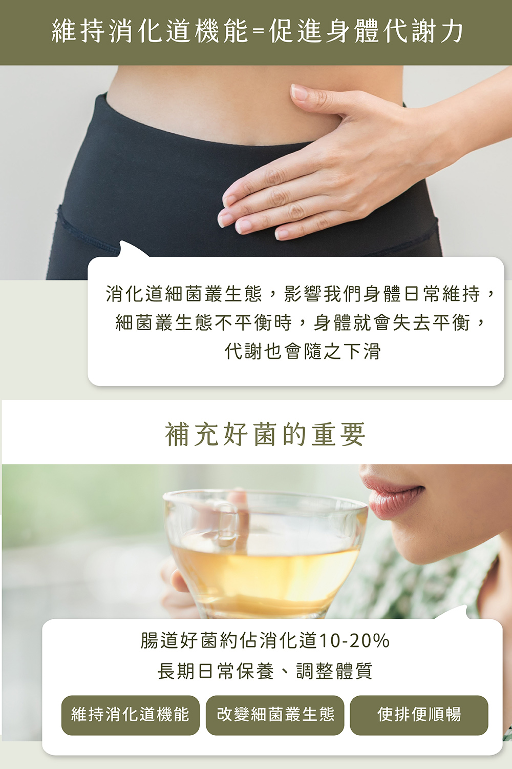 消化道細菌叢生態,影響我們身體日常維持,