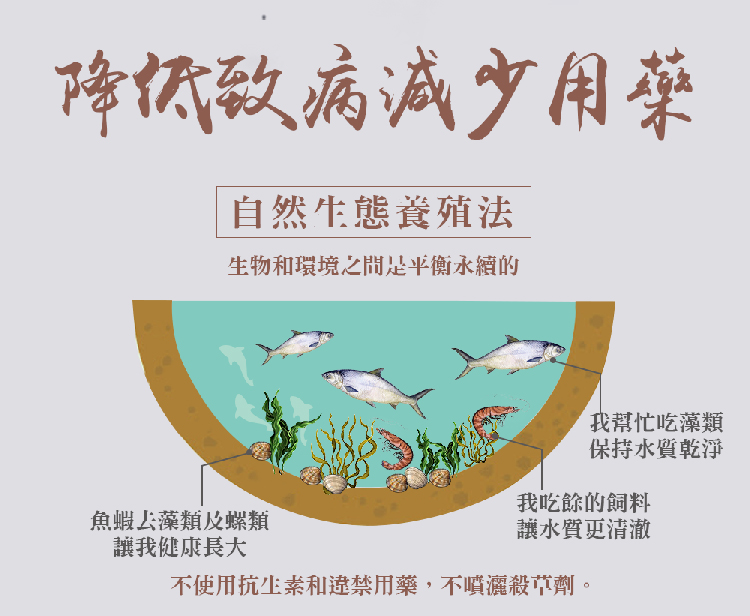 優鮮配 團購組-自然生態去刺虱目魚柳15包(300g/包)好