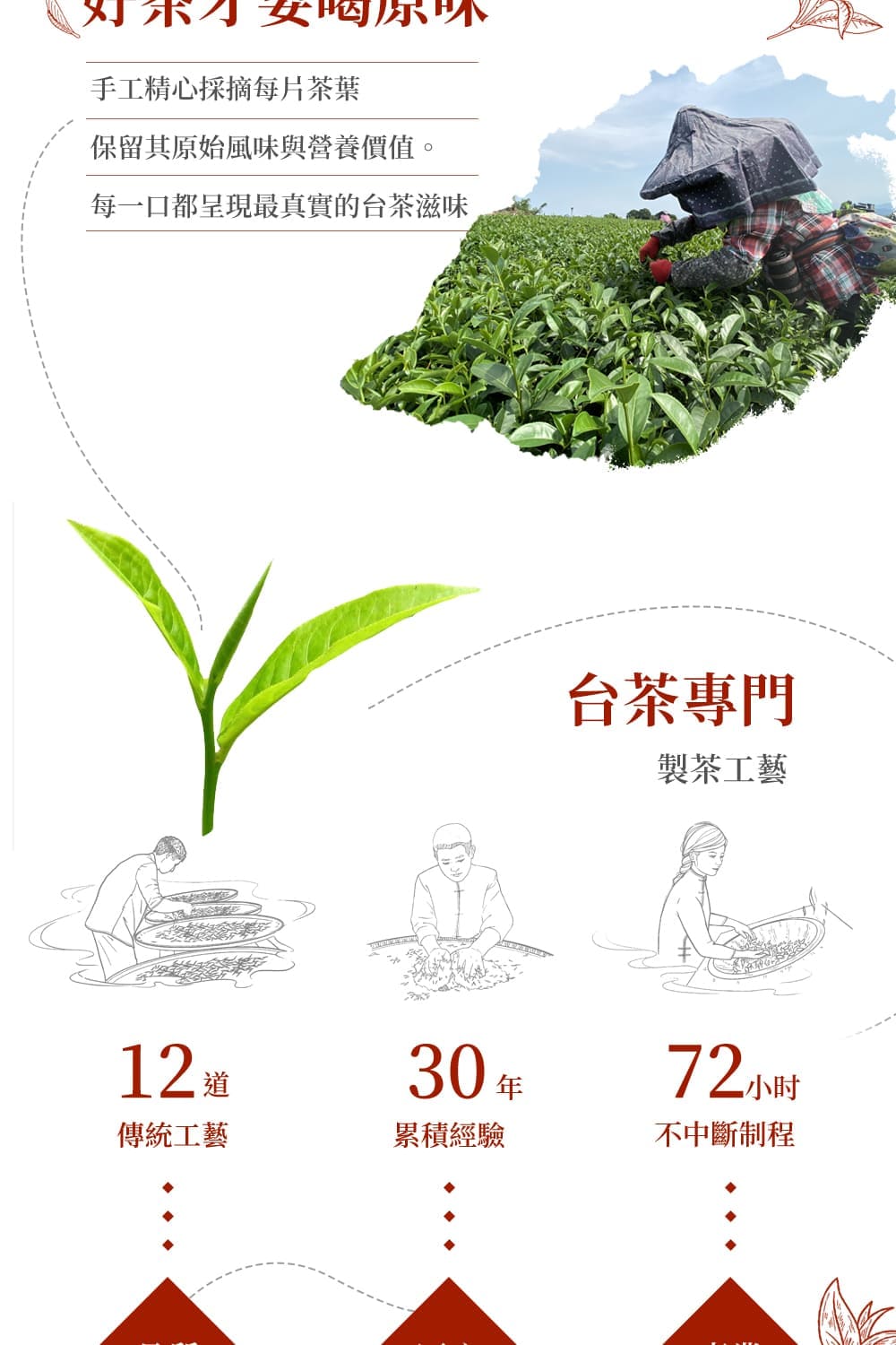 每一口都呈現最真實的台茶滋味