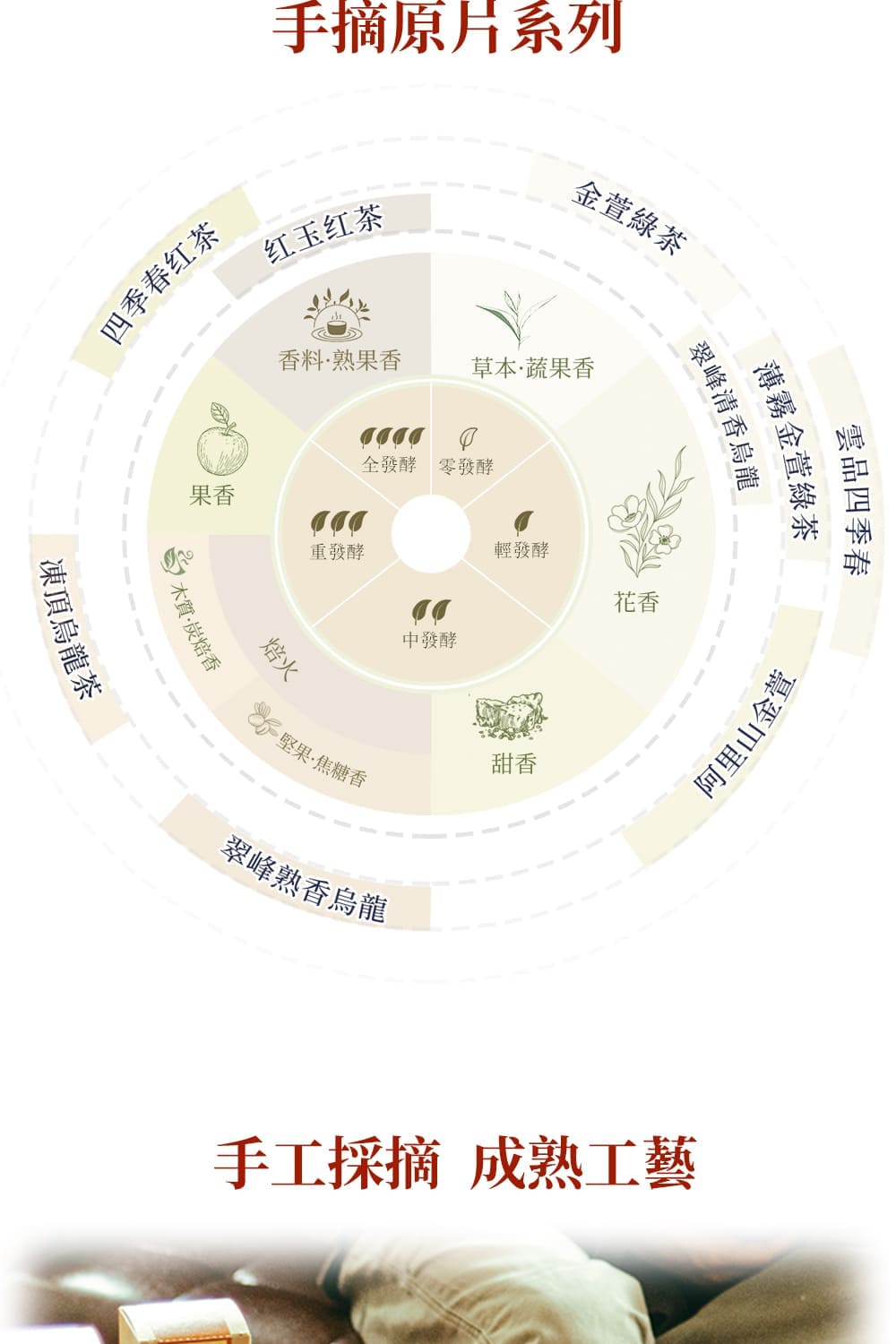 手工採摘成熟工藝