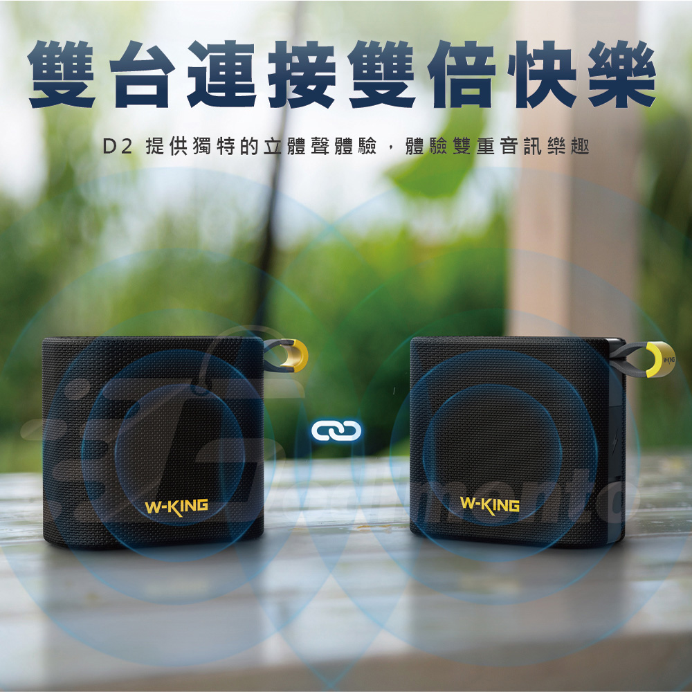 雙台連接雙倍快樂 D2 提供獨特的立體聲體驗,體驗雙重音訊樂趣 