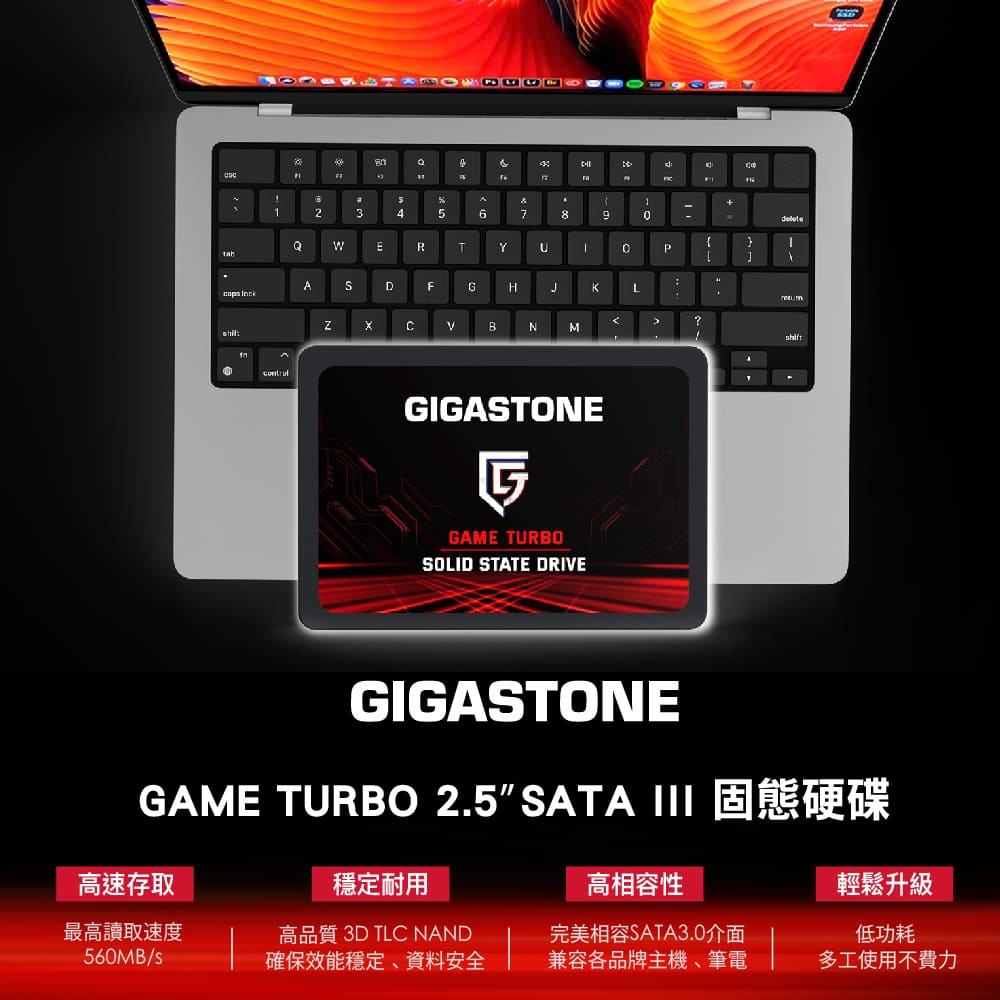 Gigastone 立達 搭外接盒 ★ Game Turbo