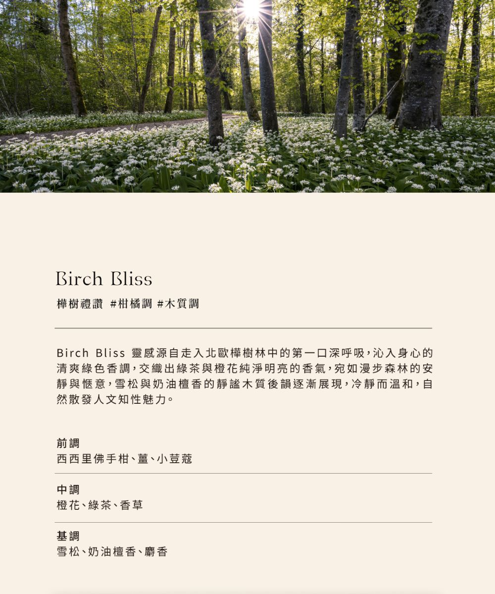 Birch Bliss 靈感源自走入北歐樺樹林中的第一口深呼吸,沁入身心的