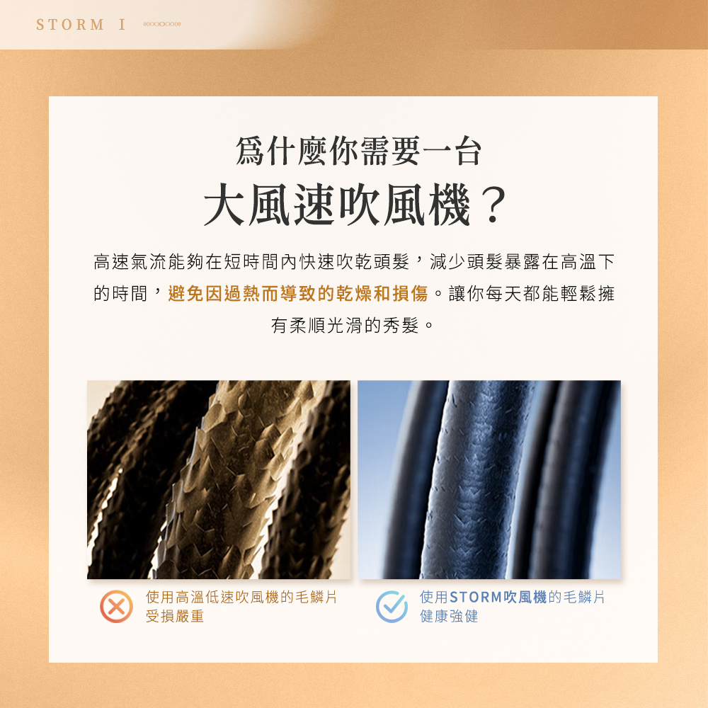 é«éæ°£æµè½å¤ å¨ç­æéå§å¿«éå¹ä¹¾é ­é«®,æ¸å°é ­é«®æ´é²å¨é«æº«ä¸
