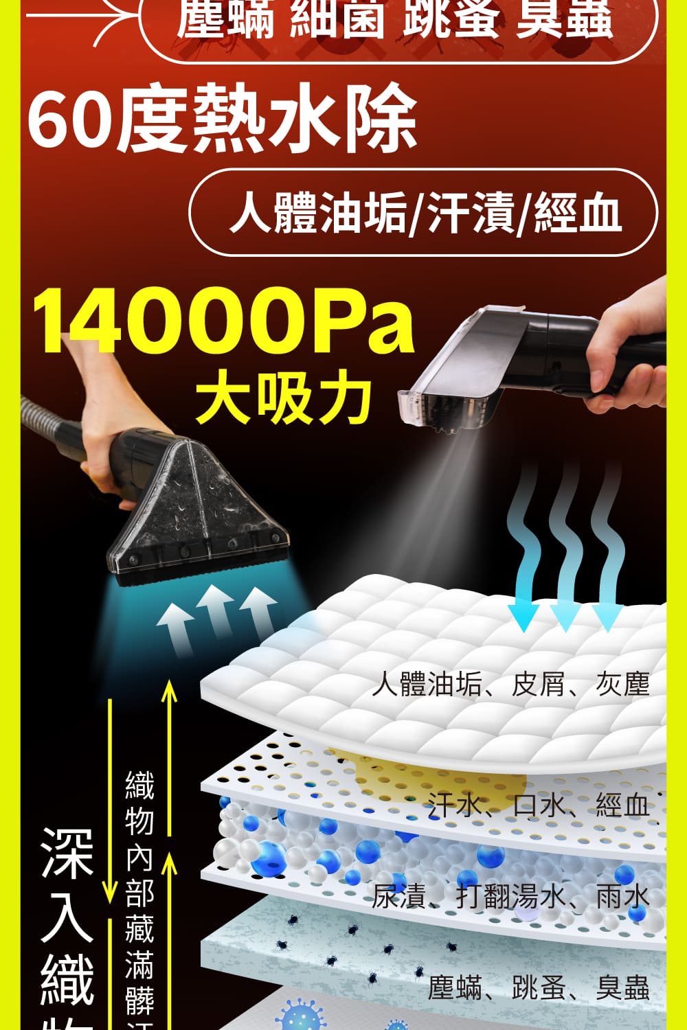 塵蟎 細菌 跳蚤 臭蟲