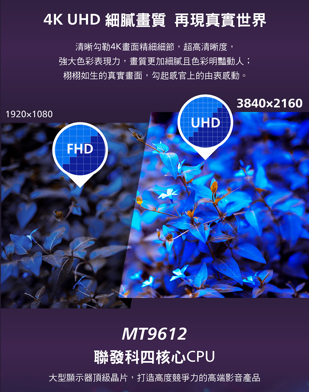 大型顯示器頂級晶片,打造高度競爭力的高端影音產品
