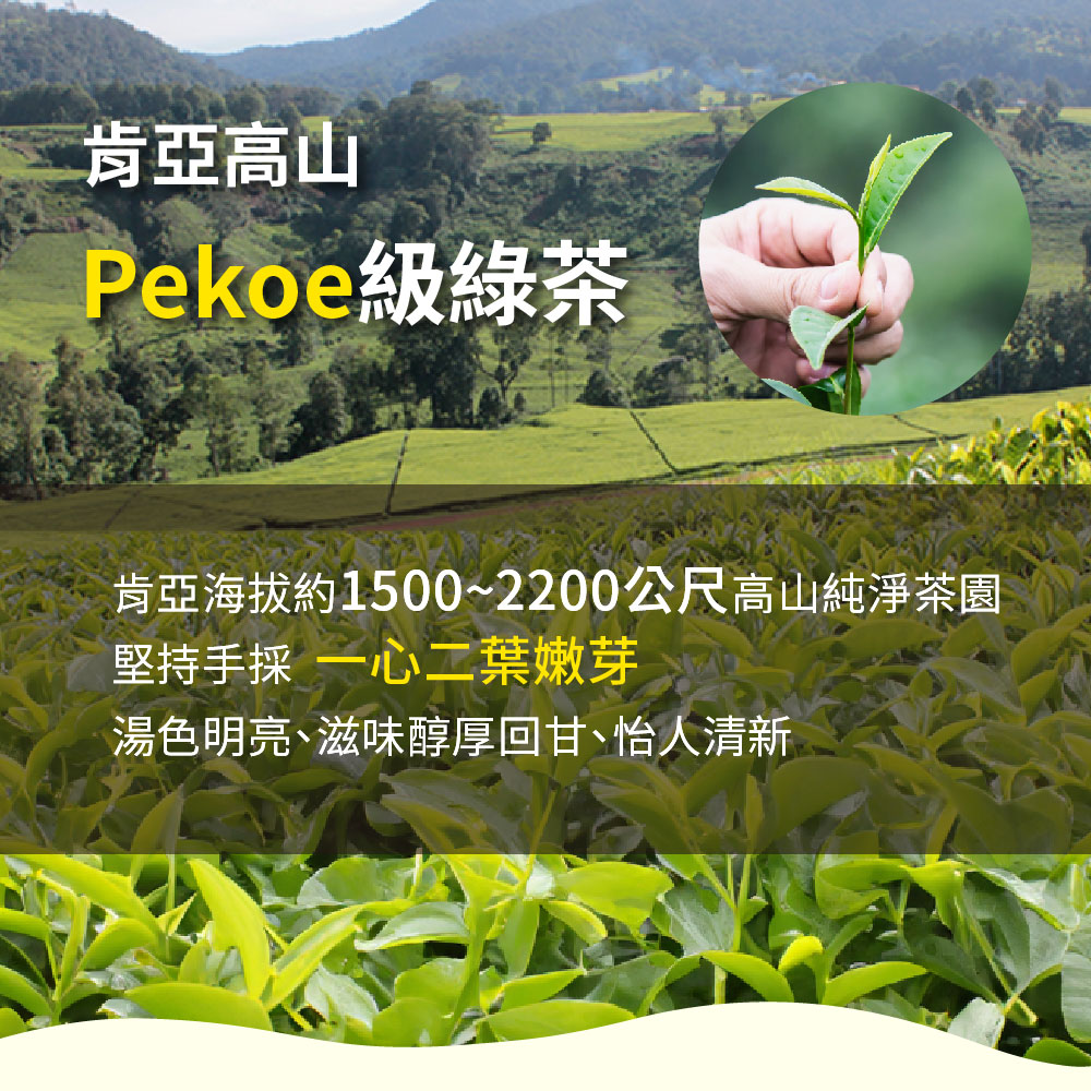 肯亞高山 Pekoe級綠茶 肯亞海拔約15002200公尺高山純淨茶園 堅持手採一心二葉嫩芽 湯色明亮、滋味醇厚回甘、怡人清新 