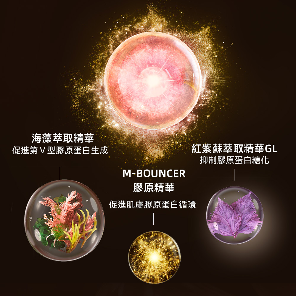 促進第V型膠原蛋白生成