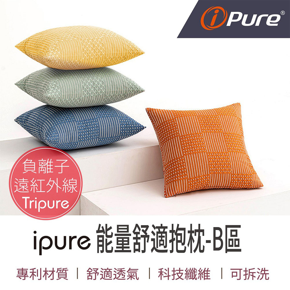 iPure 原廠貨 ipure 能量舒適抱枕/居家/休息/辦