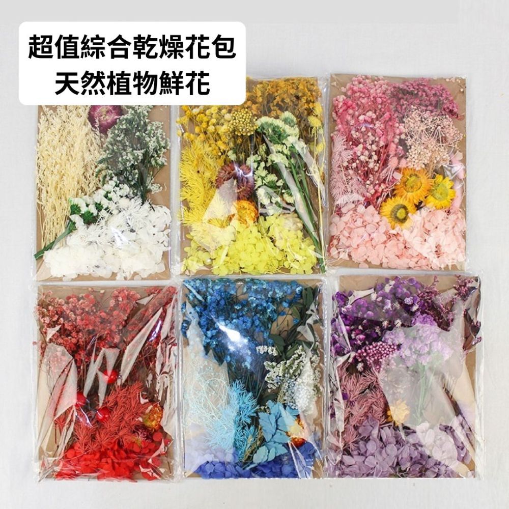 è¶å¼ç¶åä¹¾ç¥è±å å¤©ç¶æ¤ç©é®®è± 