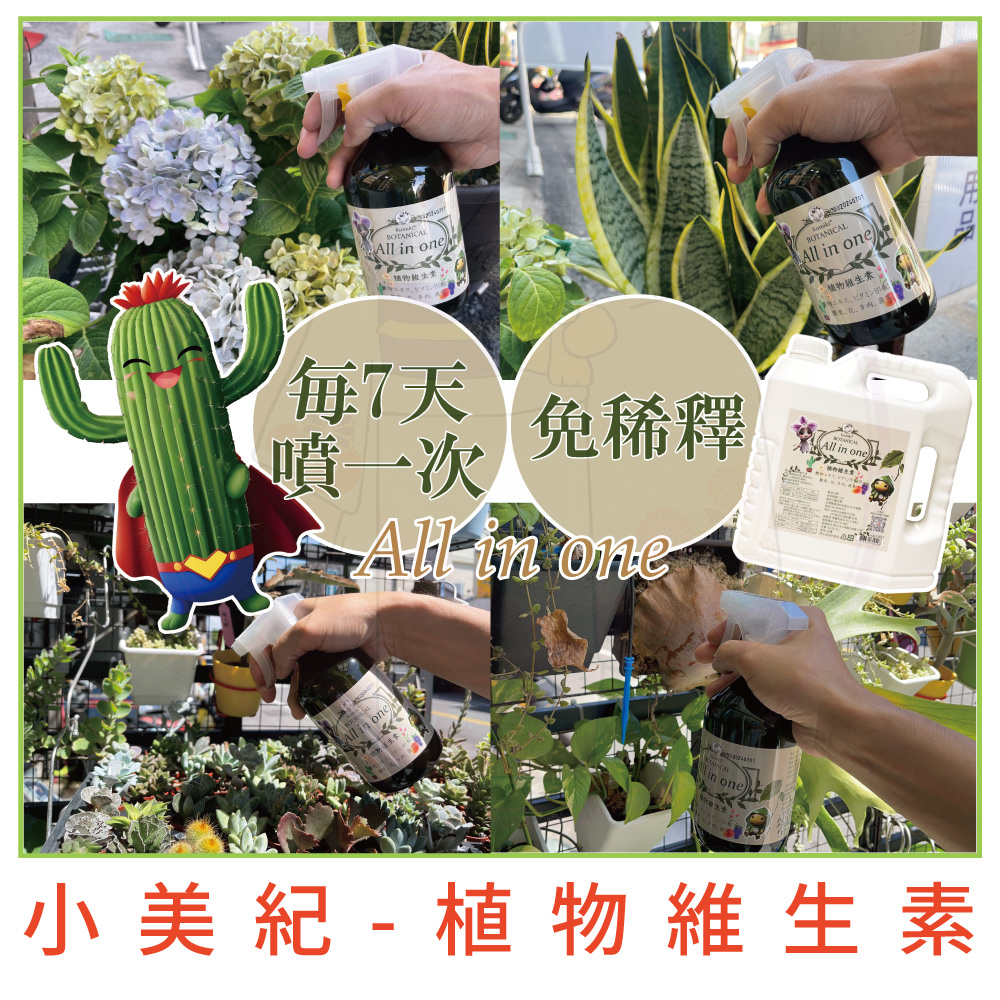 å°ç¾ç´  æ¤ç©ç¶­çç´ 