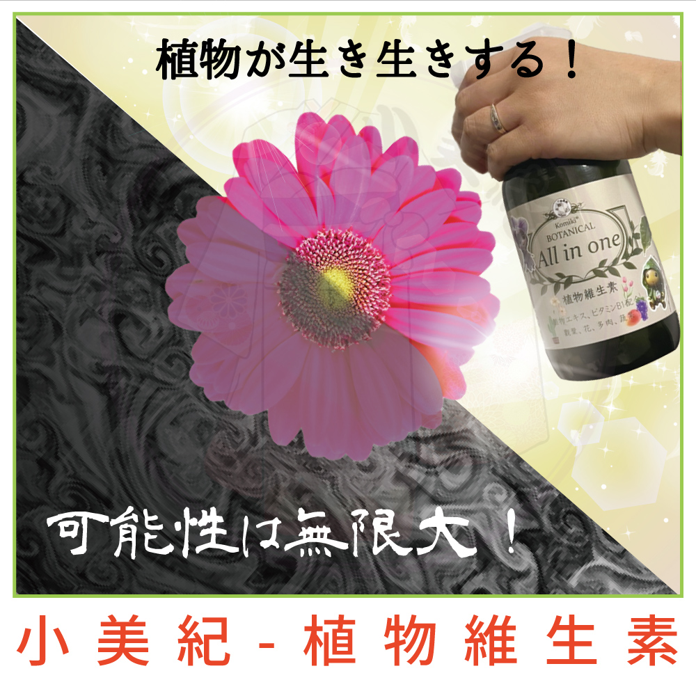 å°ç¾ç´  æ¤ç©ç¶­çç´ 