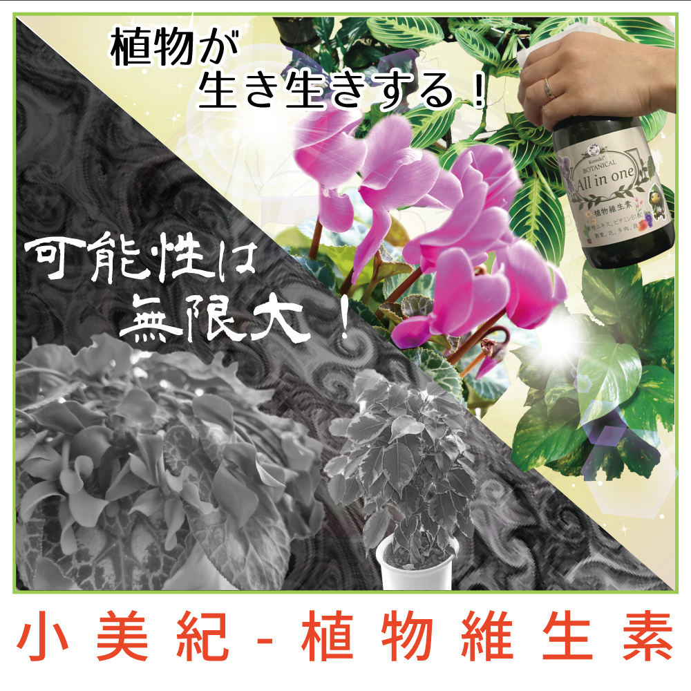 å°ç¾ç´  æ¤ç©ç¶­çç´ 