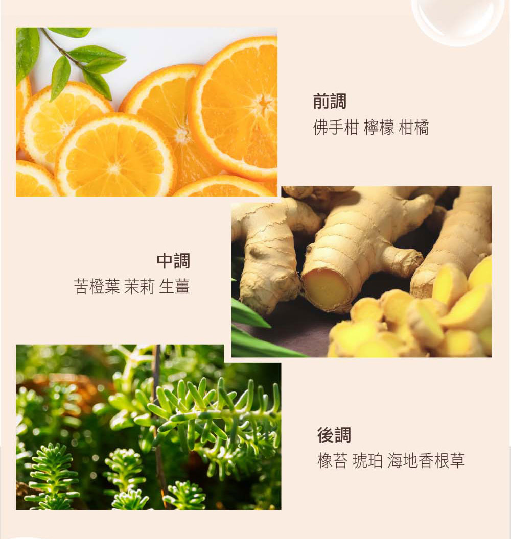 橡苔 琥珀 海地香根草