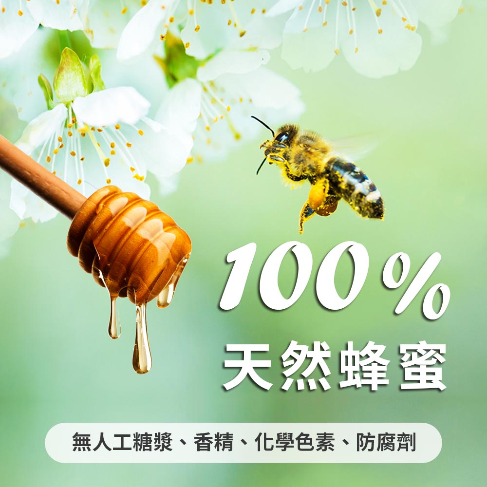 蜂巢氏 嚴選驗證龍眼蜂蜜1800gX1桶(100%純龍眼頂級