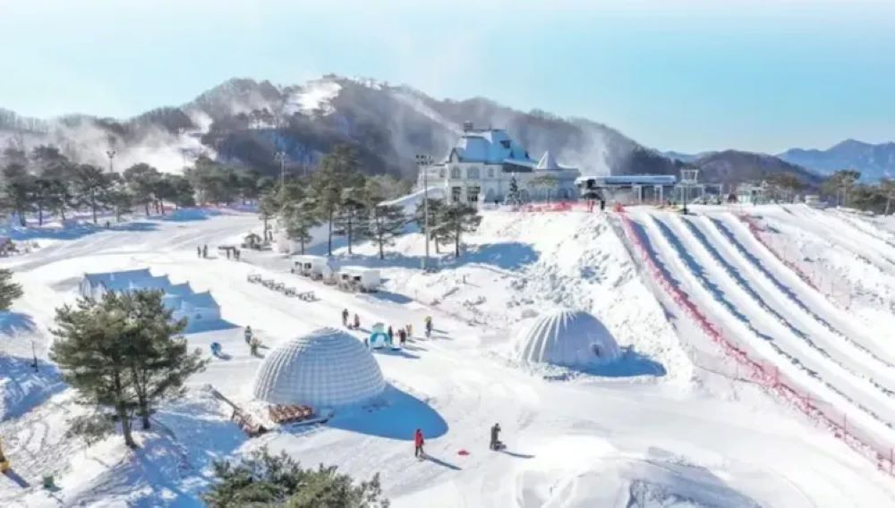 洪川大明SONO滑雪度假村 首爾冰雪樂園一天團★趣味雪橇、冰