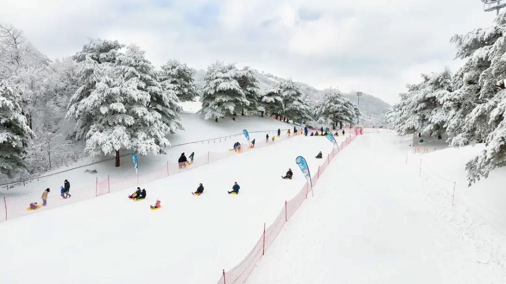 洪川大明SONO滑雪度假村 首爾冰雪樂園一天團★趣味雪橇、冰