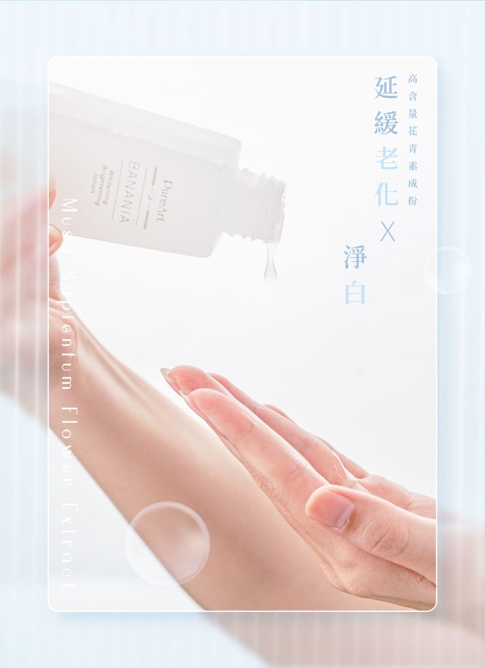 高含 延緩老 成份 
