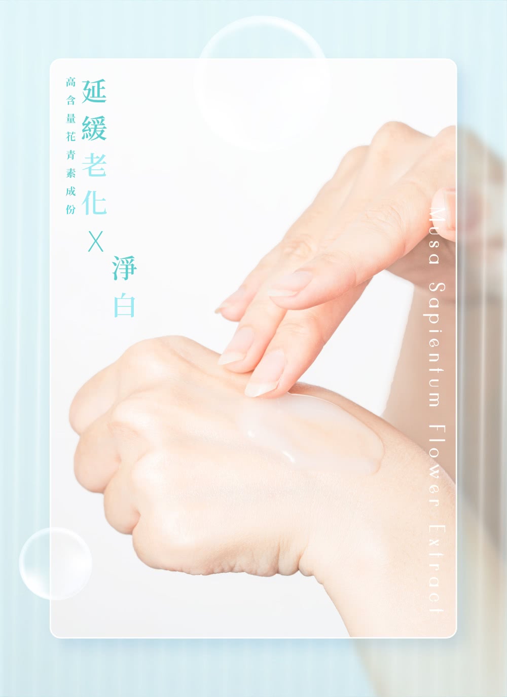 延緩老 高含量花青素成份 