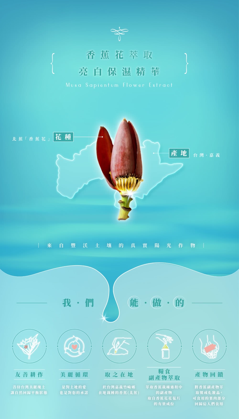 來自豐沃土壤的 真實陽光作物