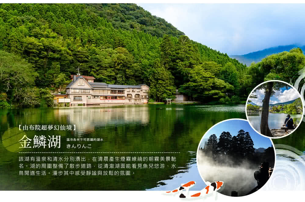 喜鴻假期 【鐵道海陸空５日】由布院之森鐵道、柳川搖船、九重夢