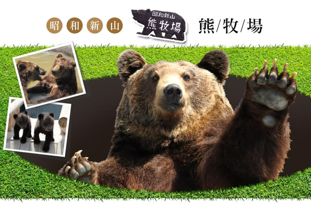 喜鴻假期 【星宇超值選北海道５日】升等札幌萬怡、函館夜景、忍