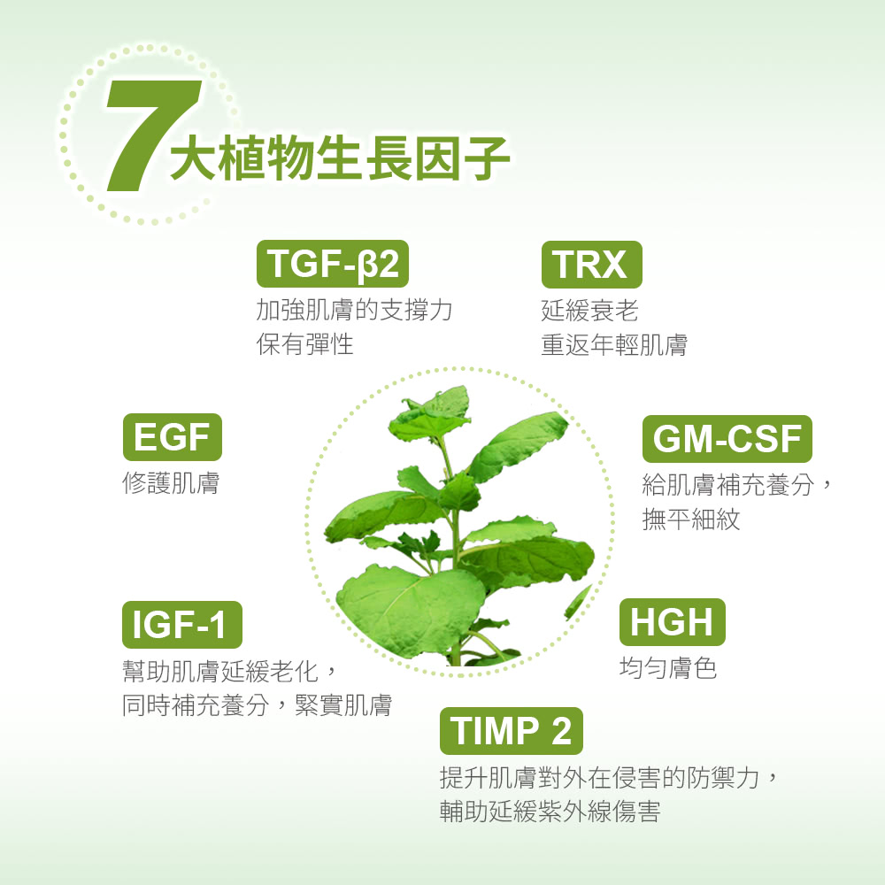 sesderma 賽斯黛瑪 植萃新生眼霜 推薦