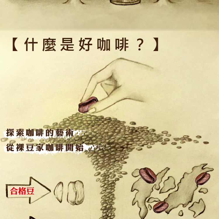 LODOJA 裸豆家 裸豆歐蕾中深培精品研磨浸泡式咖啡5入(