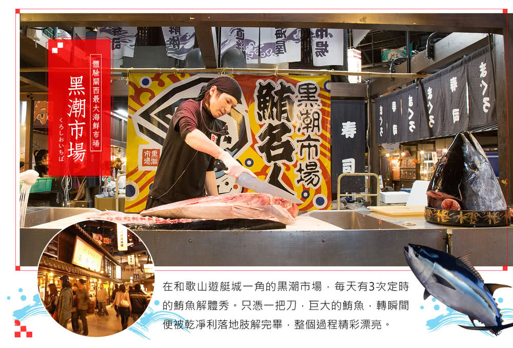 喜鴻假期 【好運財蛇到．海陸空關西5日】美山雪燈廊、鮮採草莓