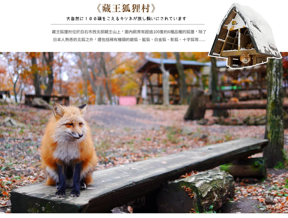 喜鴻假期 【東北藏王樹冰７日】湯西川雪屋點燈祭、銀山溫泉、採