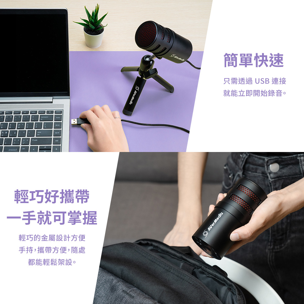 AverMedia圓剛 AM310G2 - 詳情3